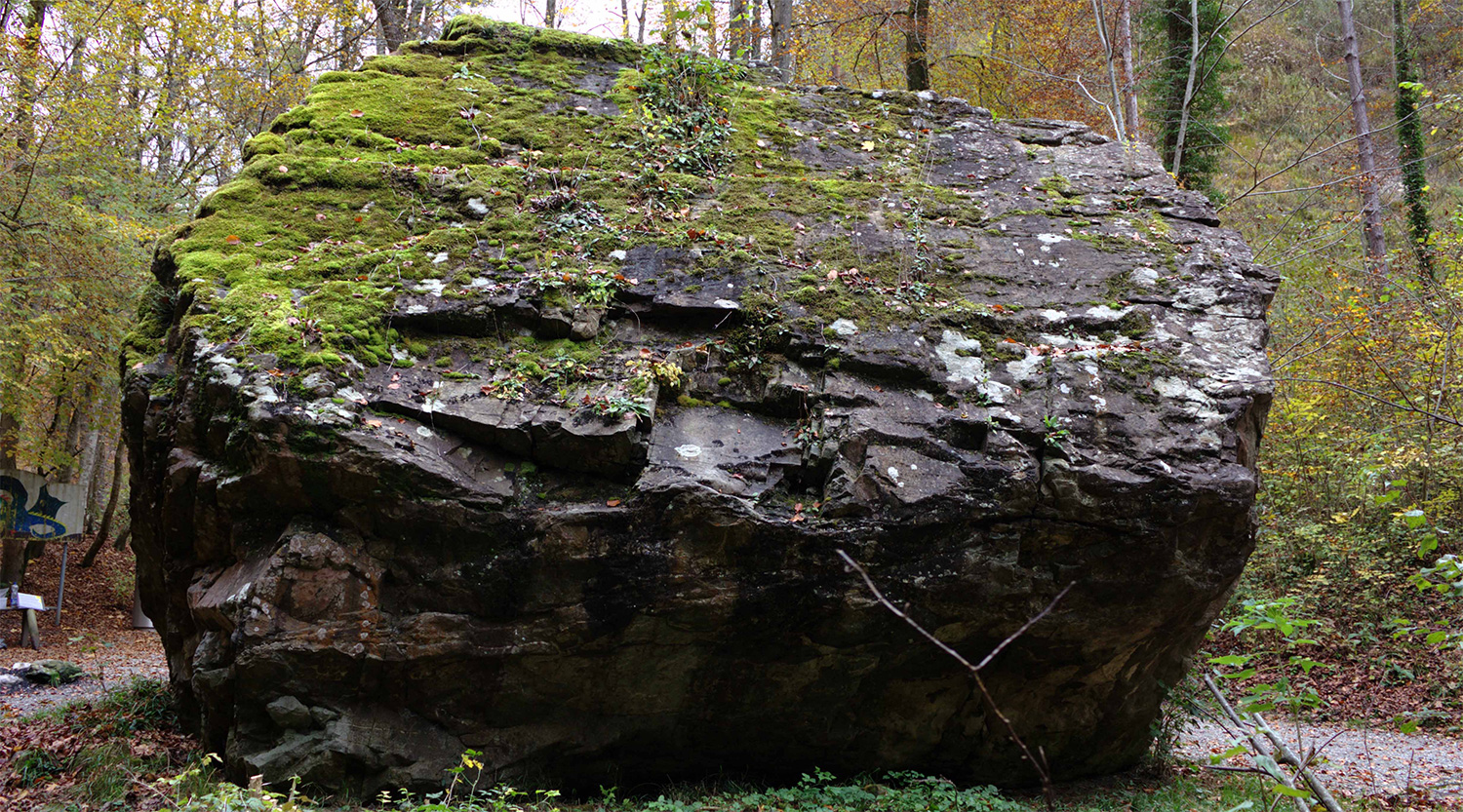 Testeintrag